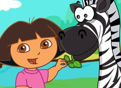 Dora e as Zebras