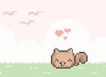 Jogos de animais: Tamaguxe Esquilo Virtual