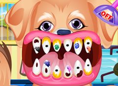 Cachorro no Dentista