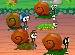 Corrida de Caracol