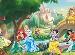 Princesas da Disney Castelo Divertido